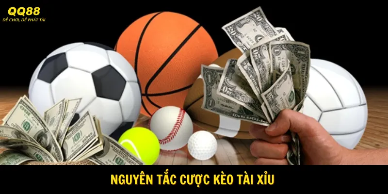 Cập nhật nguyên tắc cược chi tiết 